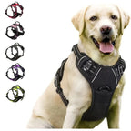 Leather Dog Collar, Harness & Leash Set — Puppy Accessories for Small & Medium Dogs