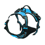 Leather Dog Collar, Harness & Leash Set — Puppy Accessories for Small & Medium Dogs