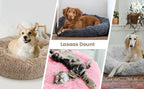 Round Plush Pet Bed — Super Soft Dog & Cat Bed, 6 Sizes (40-90cm)