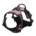 Leather Dog Collar, Harness & Leash Set — Puppy Accessories for Small & Medium Dogs