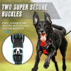 Leather Dog Collar, Harness & Leash Set — Puppy Accessories for Small & Medium Dogs