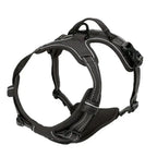 Leather Dog Collar, Harness & Leash Set — Puppy Accessories for Small & Medium Dogs